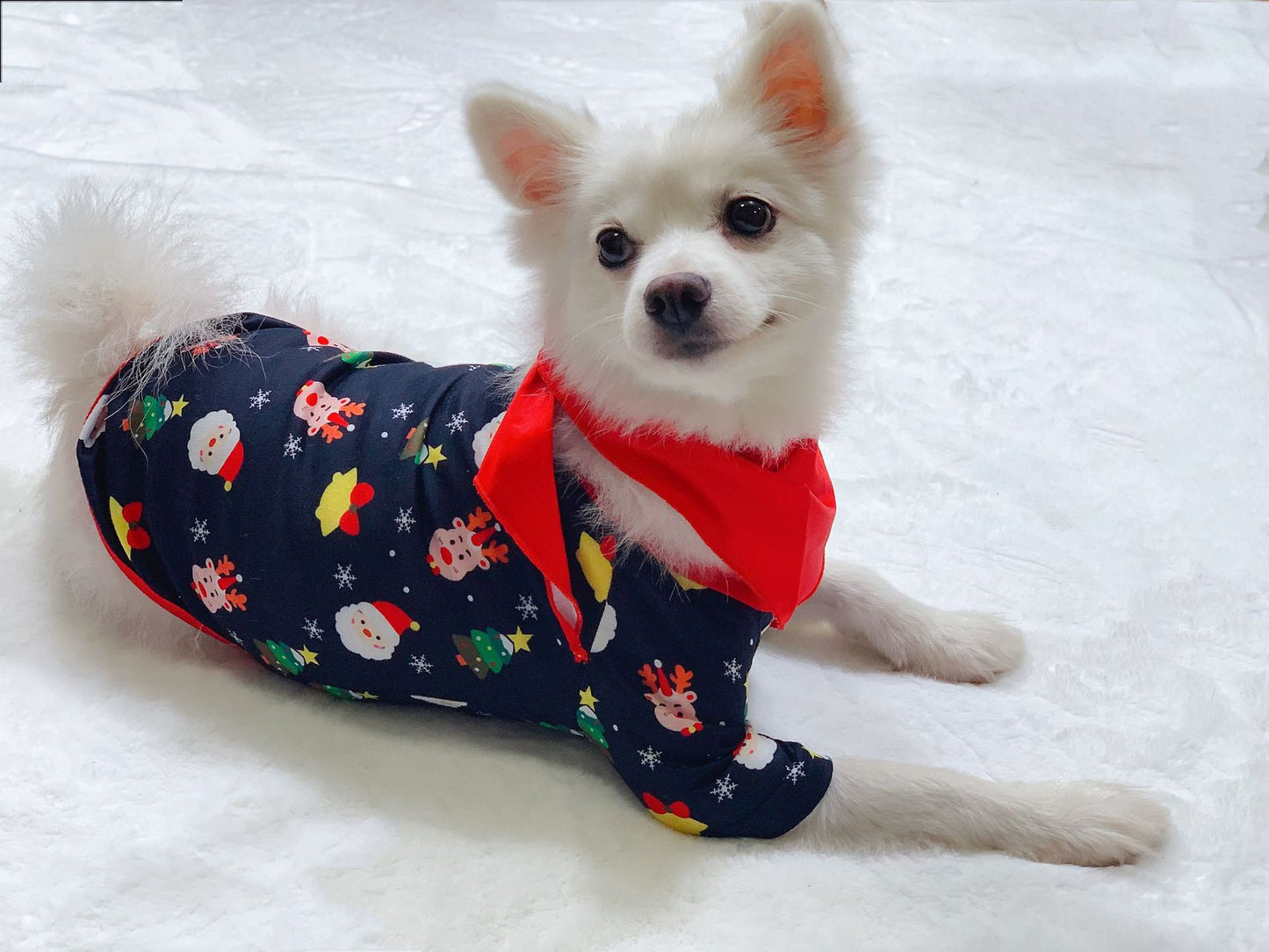 Pyjamas de Noël pour tout la famille même le chien taille de 6 mois à 3 XL