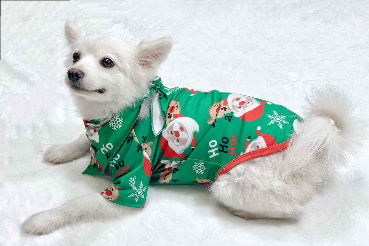 Superbes pyjamas de Noël pour toute la famille: Bébé, enfants, papa, maman et le chien